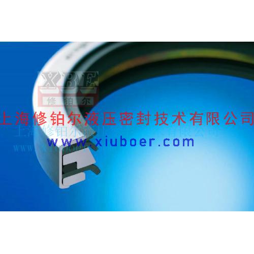 PTFE雙唇帶防塵油封/不銹鋼