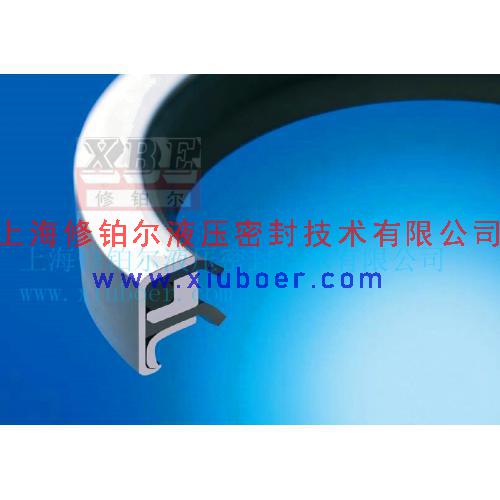 PTFE雙唇油封/不銹鋼